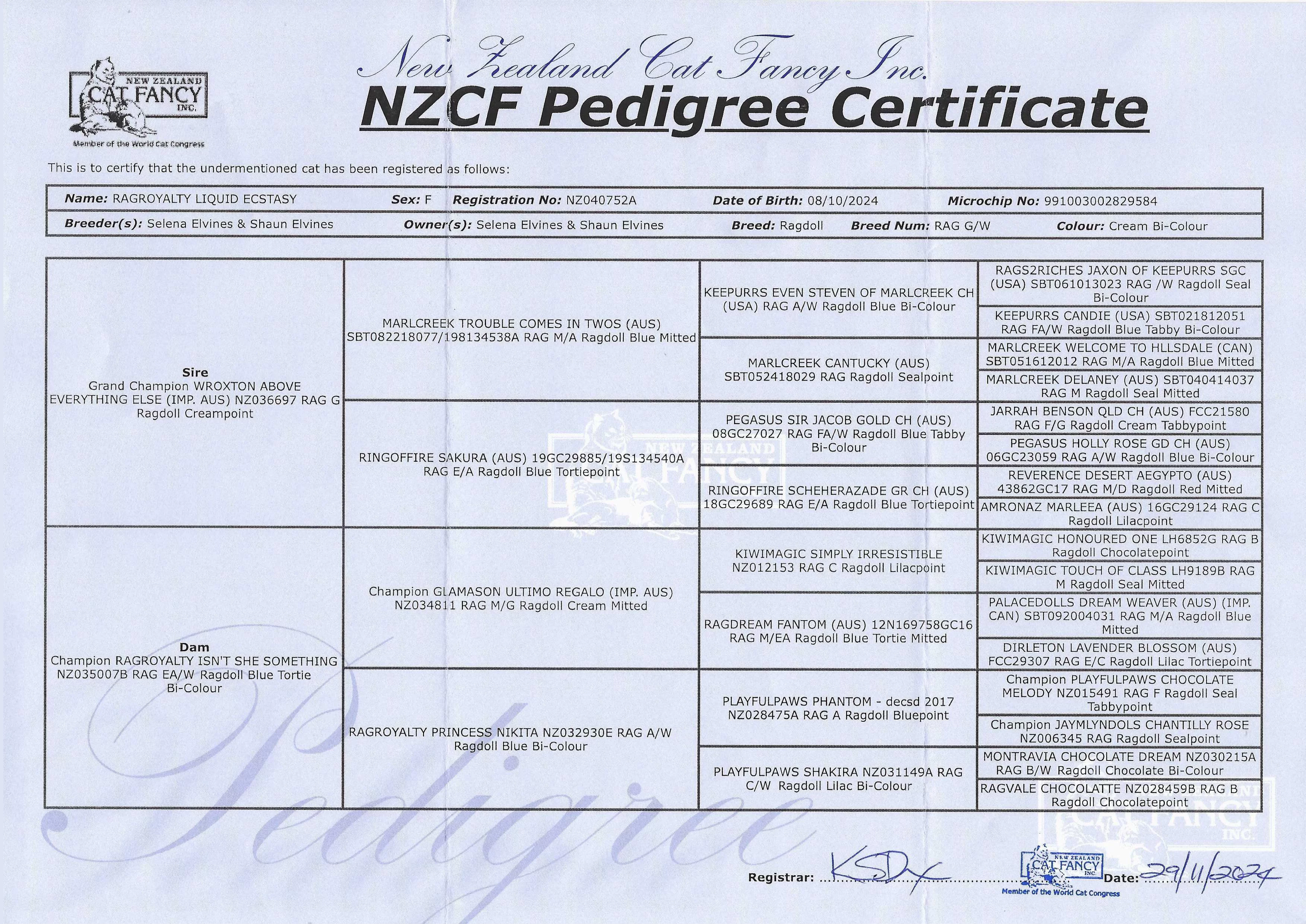 fantanzcfpedigree.webp