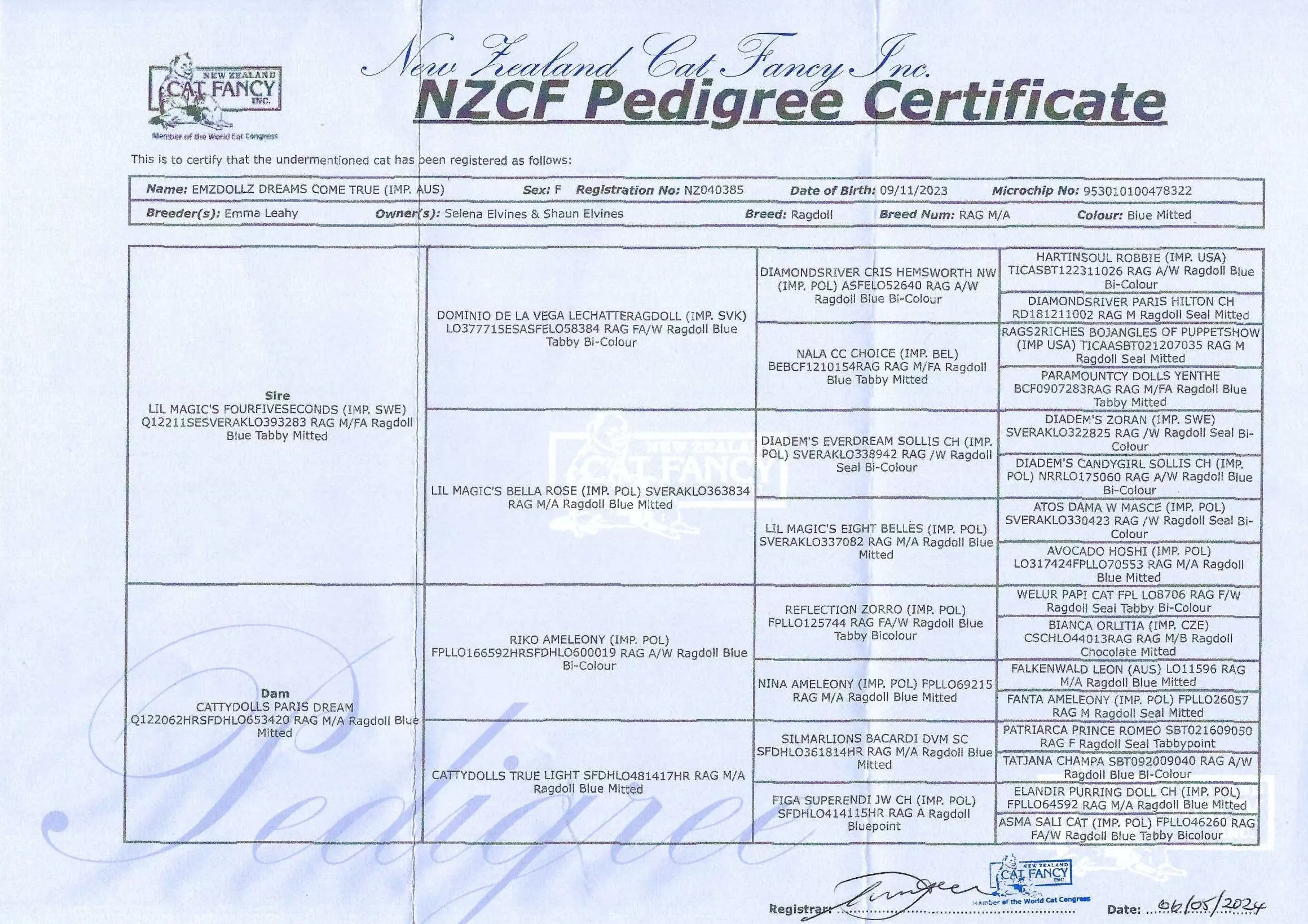 nylanzcfpedigree.webp