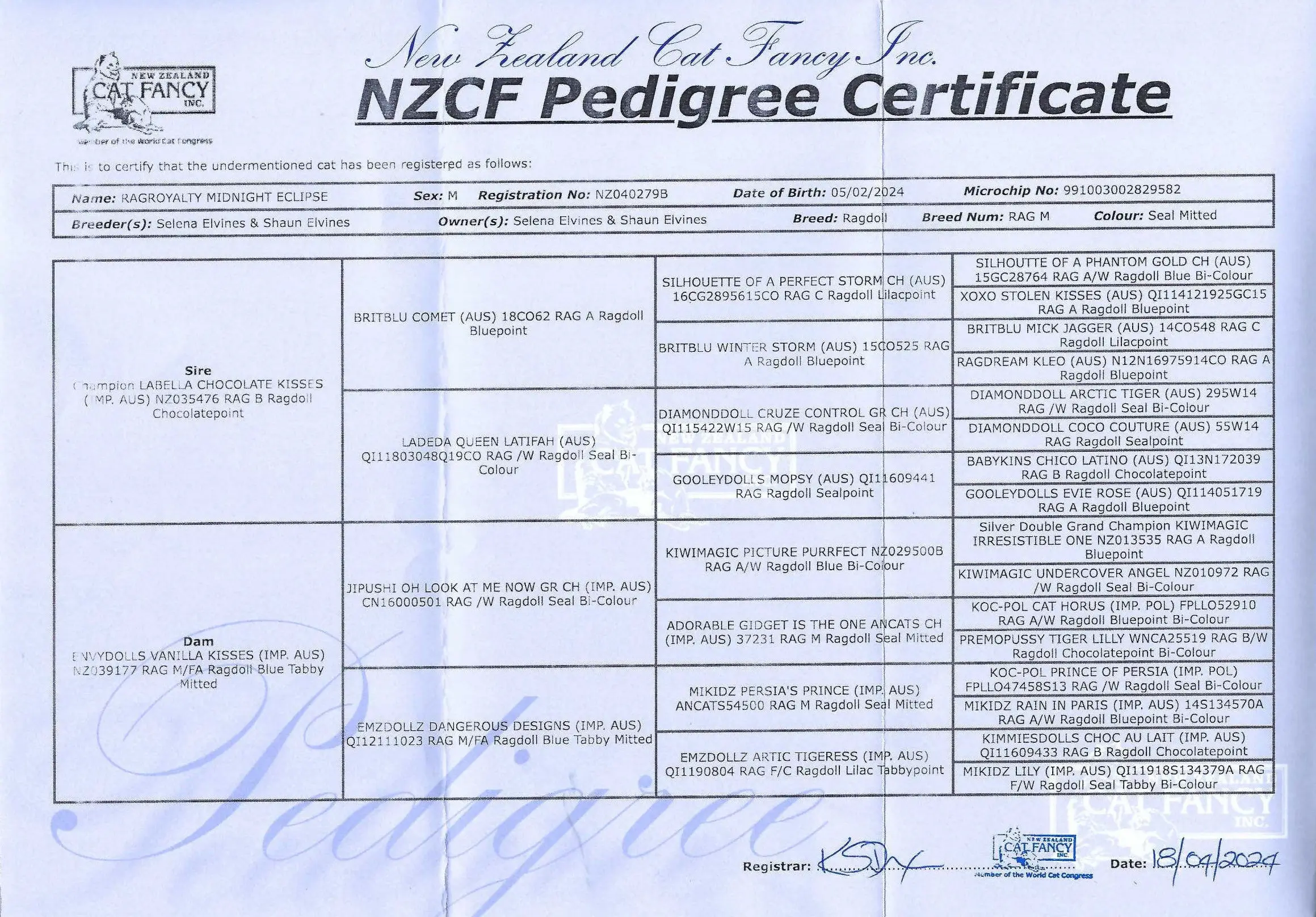 princenzcfpedigree.webp