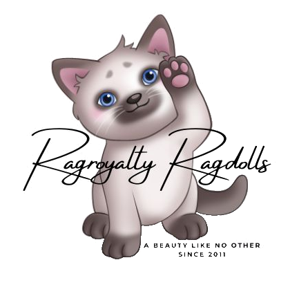 Ragroyalty Ragdolls Logo