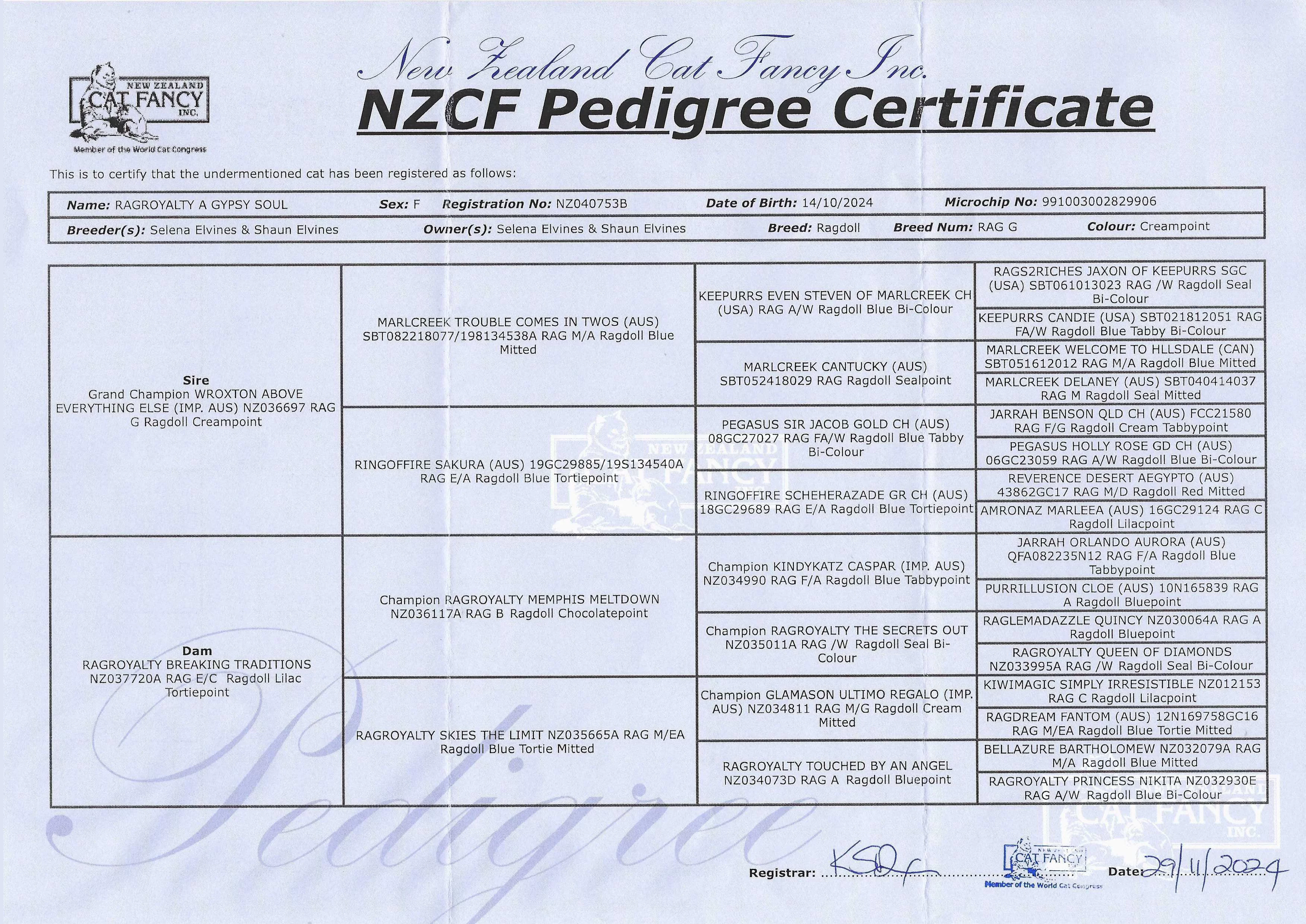 rubynzcfpedigree.webp