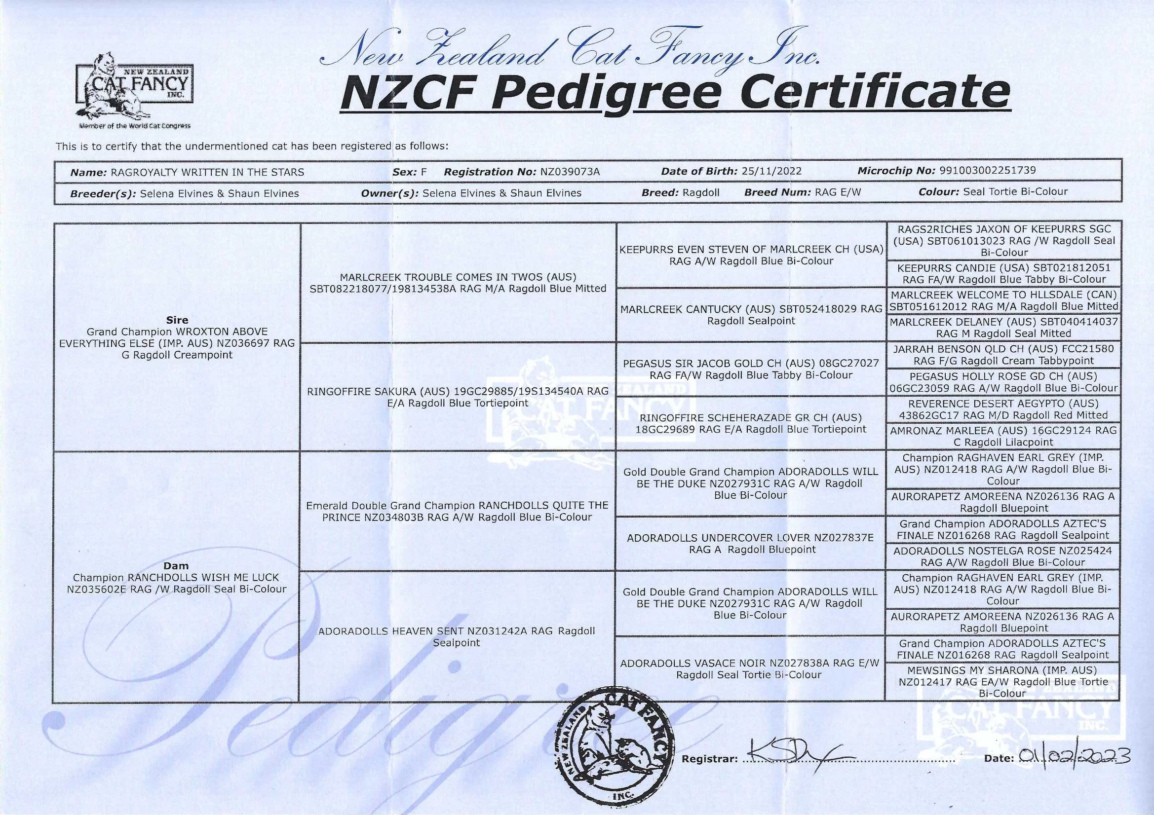 starnzcfpedigree.webp