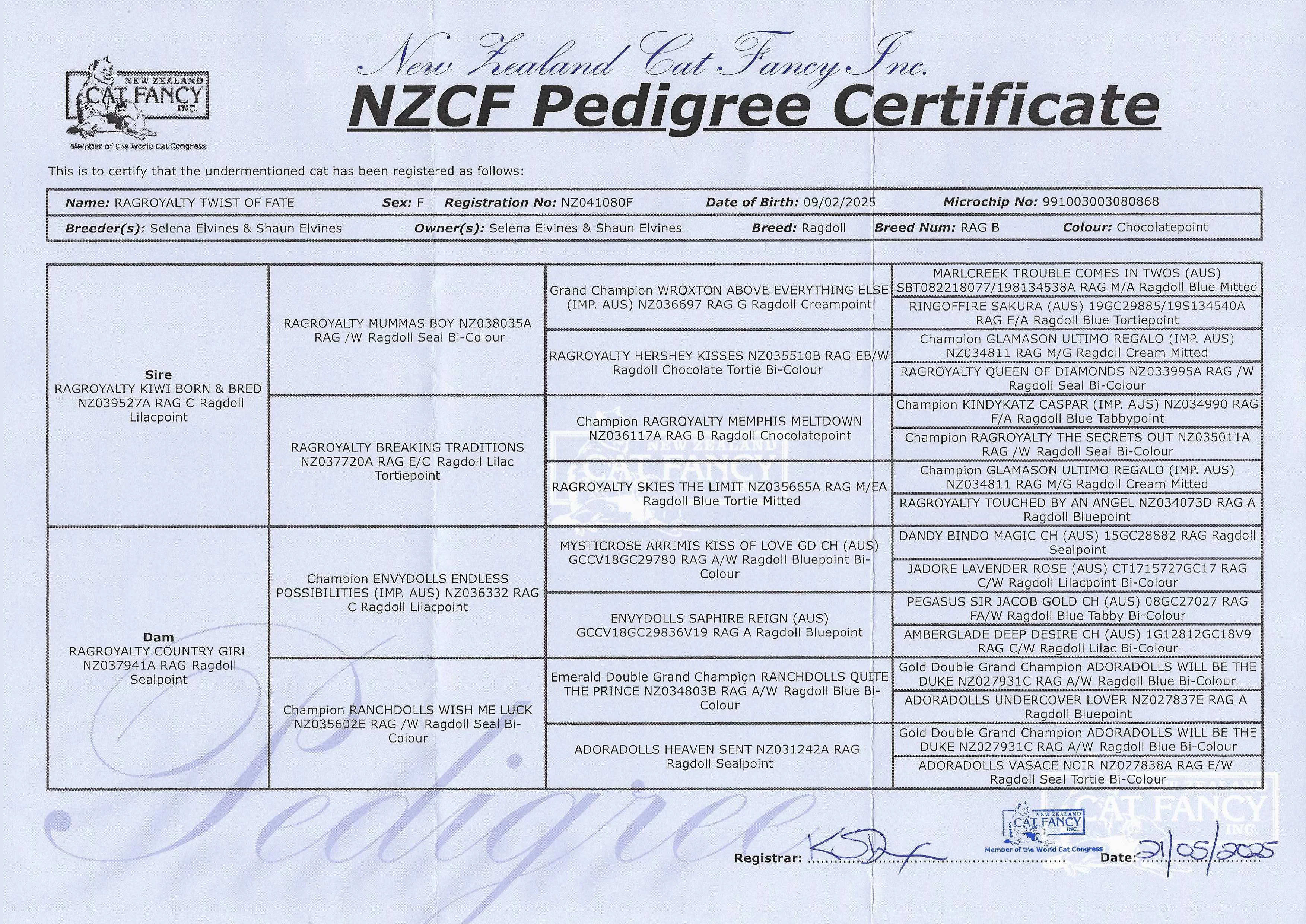 valleynzcfpedigree.webp