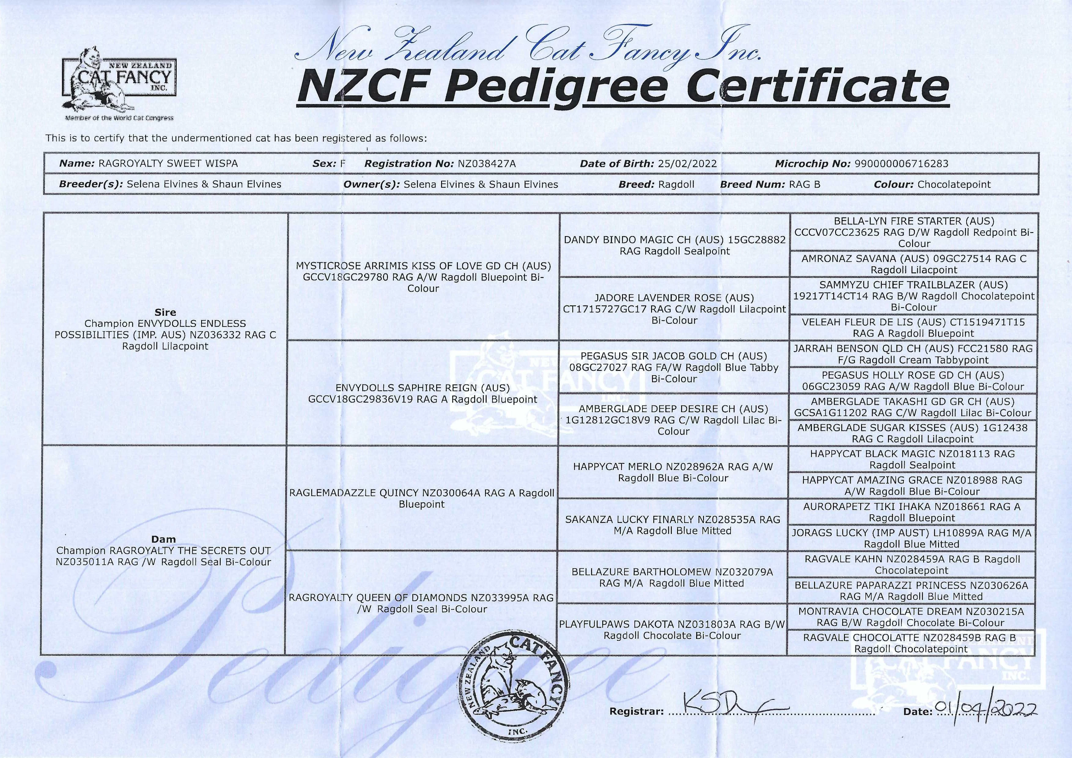 wispanzcfpedigree.webp
